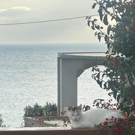 Mary Popi Panormos (Kalymnos)